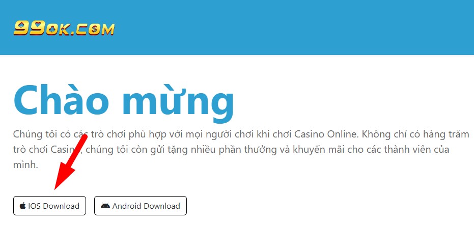 Hướng dẫn tải app 99ok dễ dàng cho điện thoại iOS